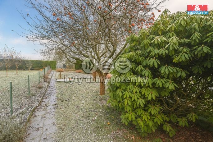 Prodej, Zahrada, Žacléř