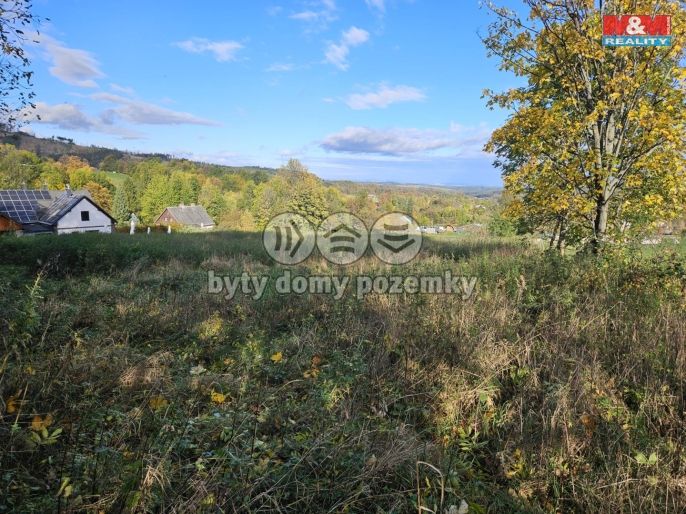 Prodej, Pozemek k bydlení, 2519 m², Zlaté Hory