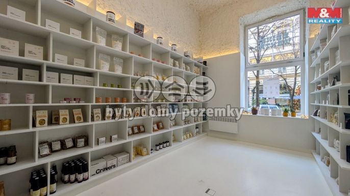 Pronájem, Obchod a služby, Praha