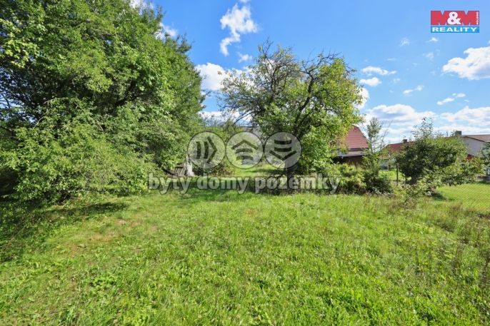 Prodej, Rodinný dům, Čečkovice