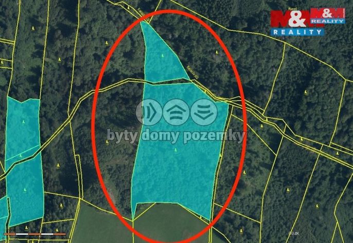 Prodej, Les, Horní Studénky