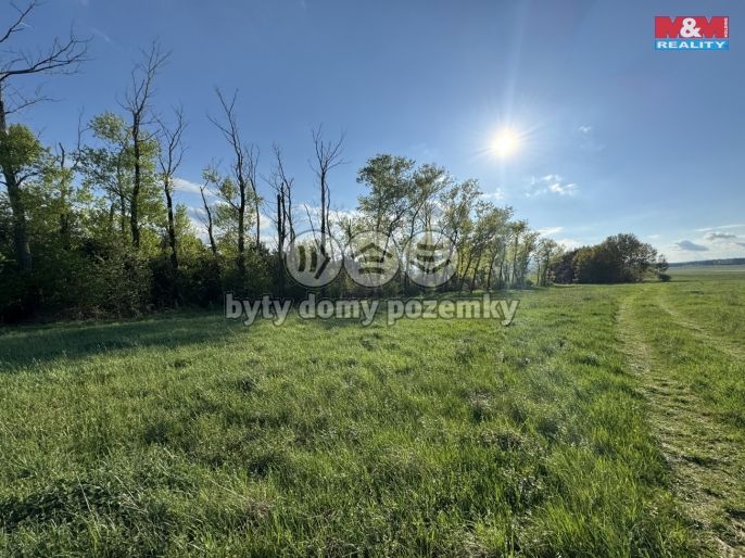 Prodej, Komerční pozemky, Homole