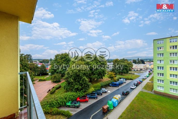 Prodej, Byt 3+1, Toužim