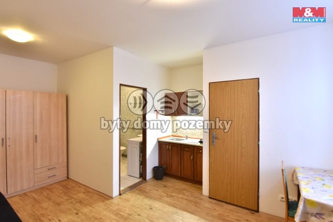 Pronájem, Byt 1+kk, Brandýs nad Labem-Stará Boleslav