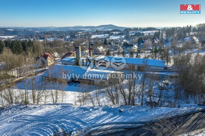 Prodej, Výrobní objekt, Pěnčín