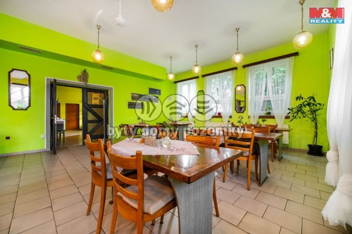 Prodej, Hotel, penzion, Stradouň