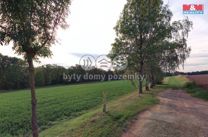 Prodej, Pole, Bratčice