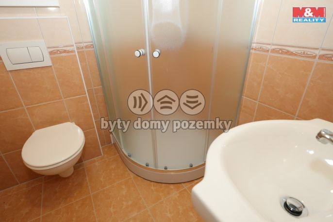 Prodej, Ostatní, Lípa