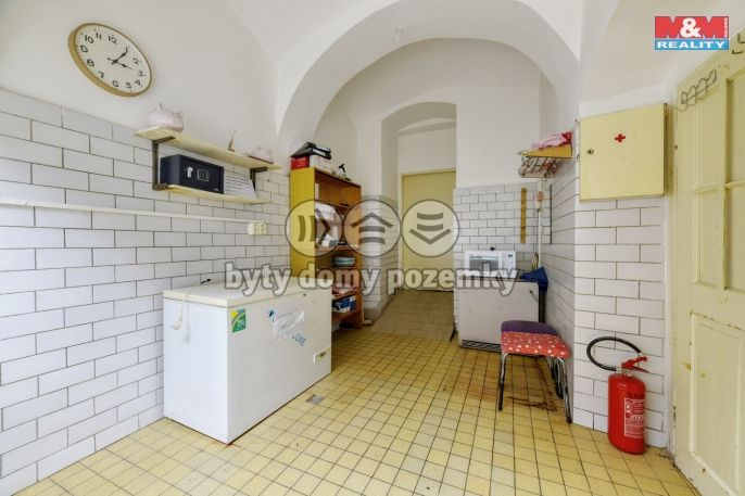 Pronájem, Obchod a služby, Planá