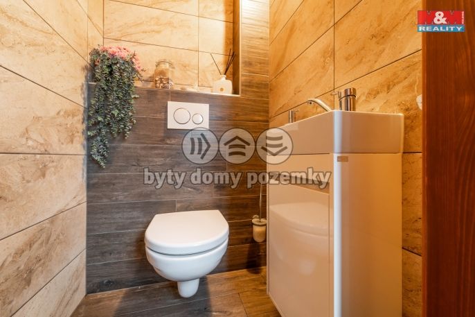 Prodej, Obchodní objekt, Bechyně