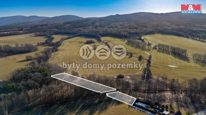 Prodej, Louka, Dětřichov