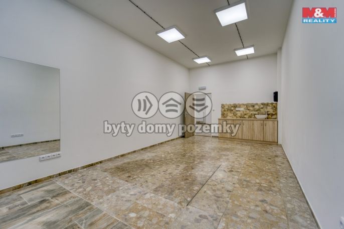 Pronájem, Obchod a služby, Plzeň