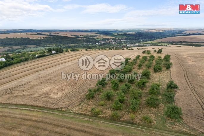 Prodej, Ovocný sad, Kralupy nad Vltavou