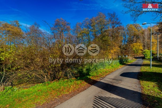 Prodej, Rodinný dům, Růžová