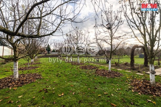 Prodej, Zahrada, Holešov