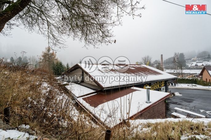 Prodej, Obchodní objekt, Kraslice