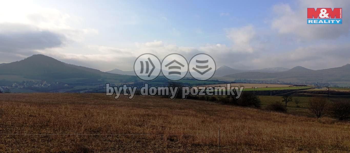lovo4.jpg