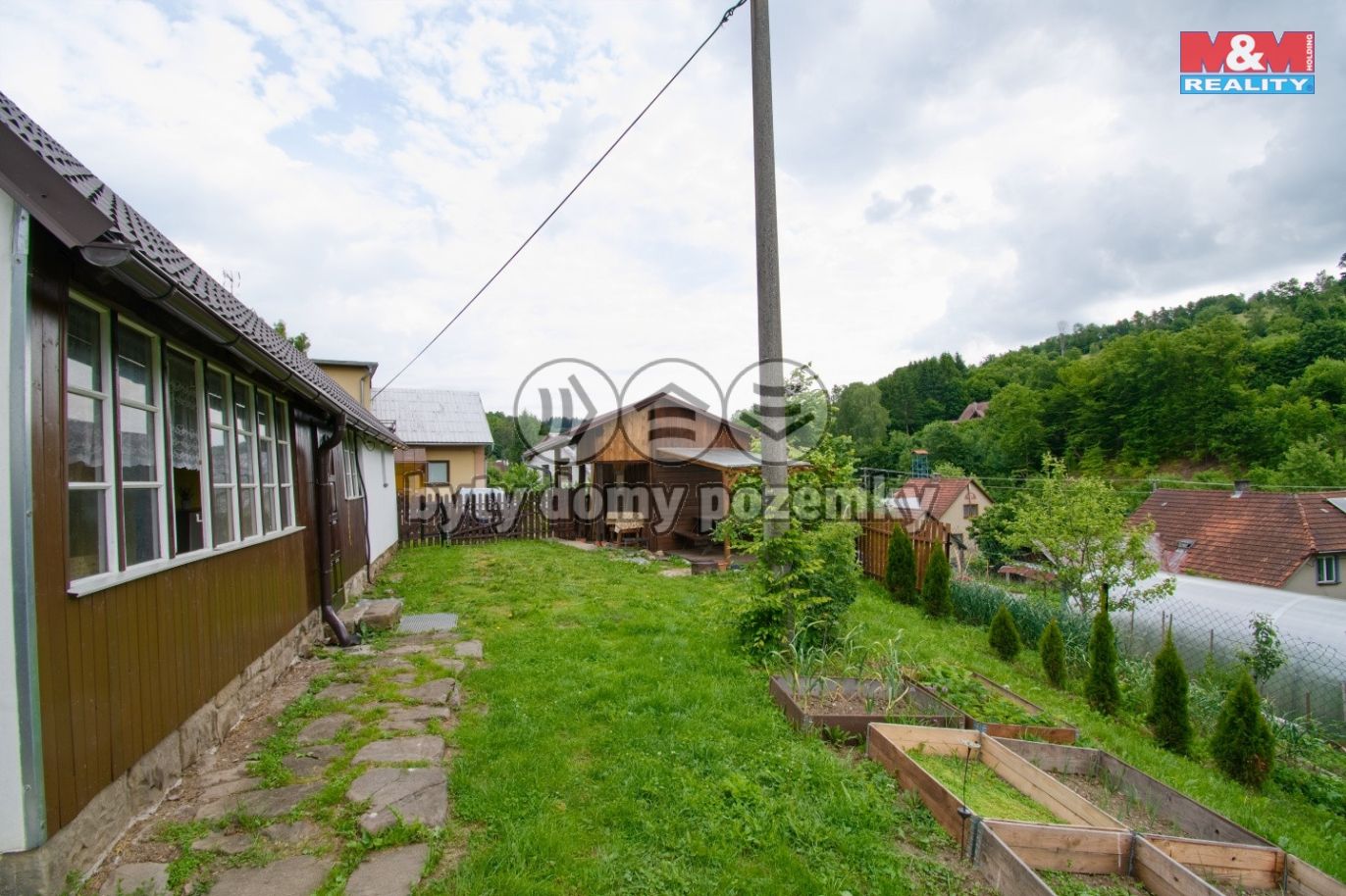 91-ZooDSC_6336.jpg