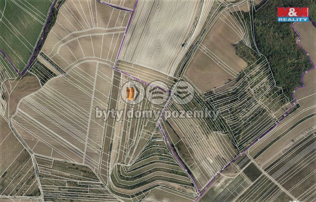 mapka