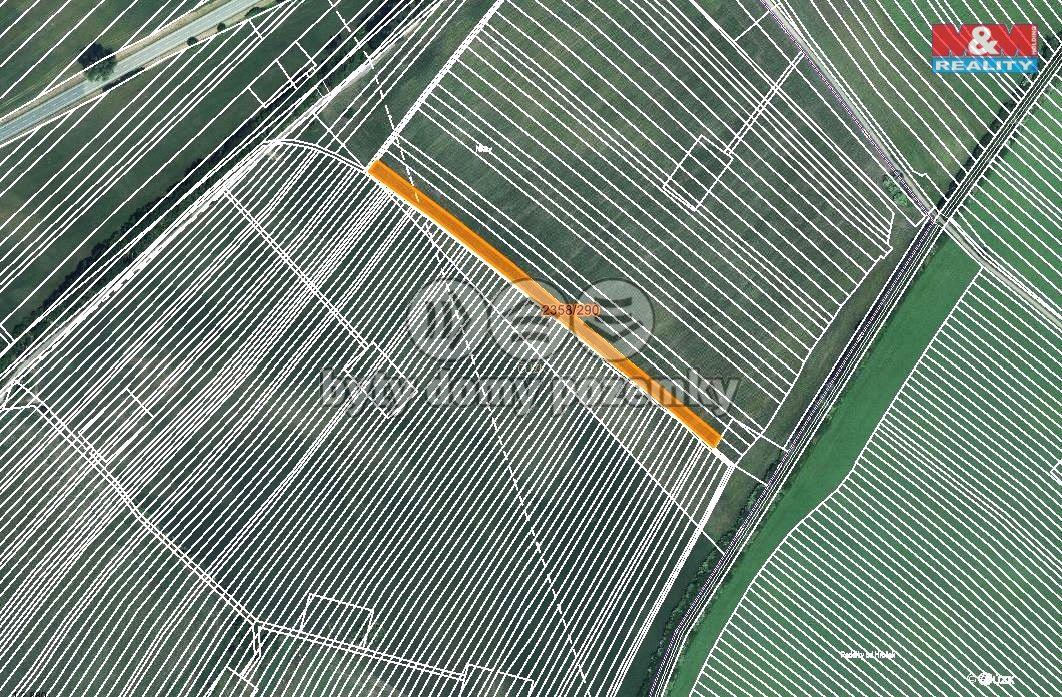 mapka