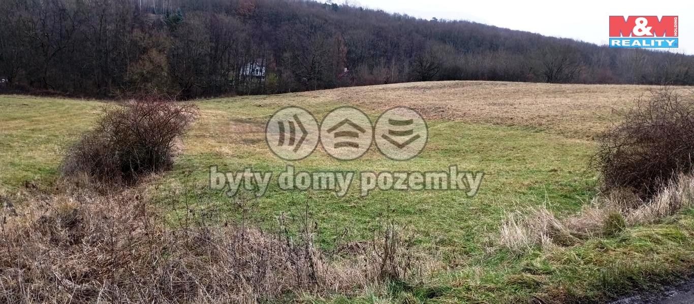 tře5.jpg