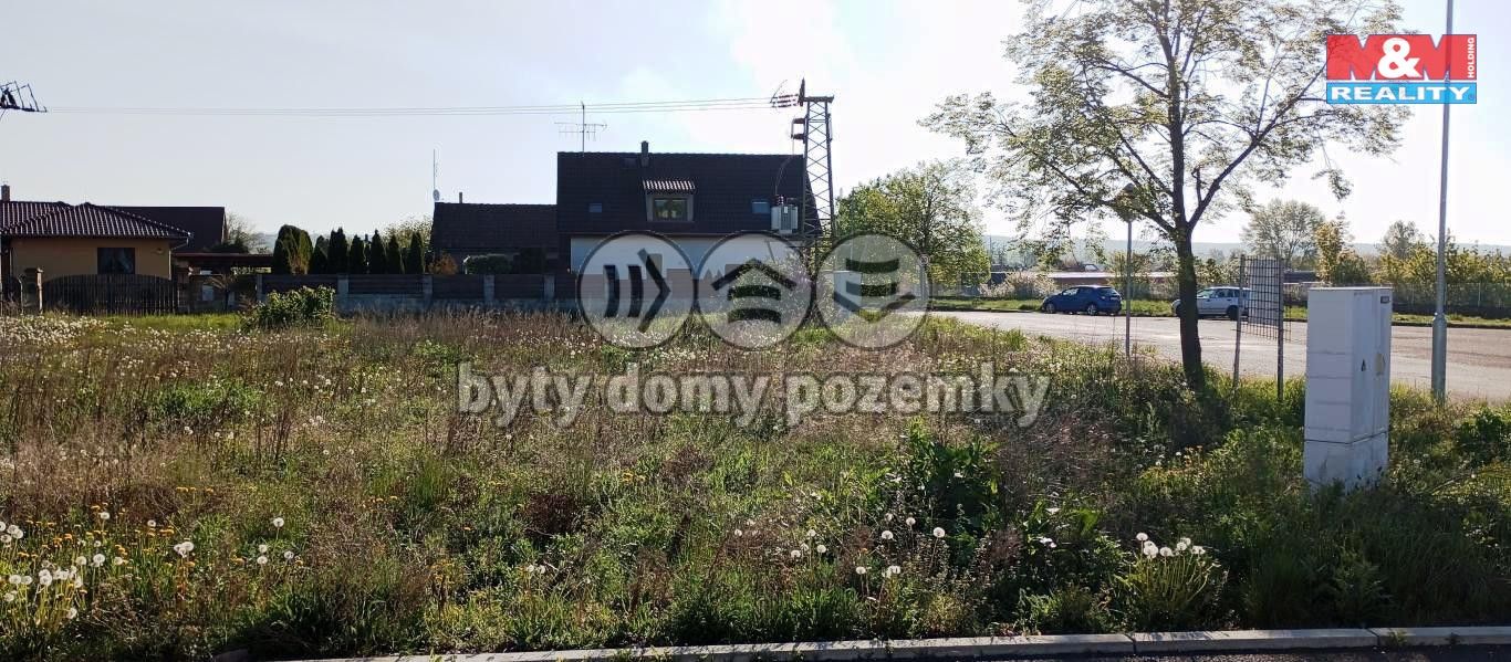 rači11.jpg