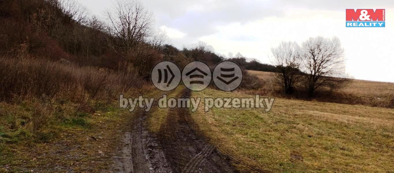 lovo11.jpg