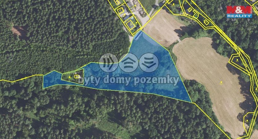 louka77.jpg