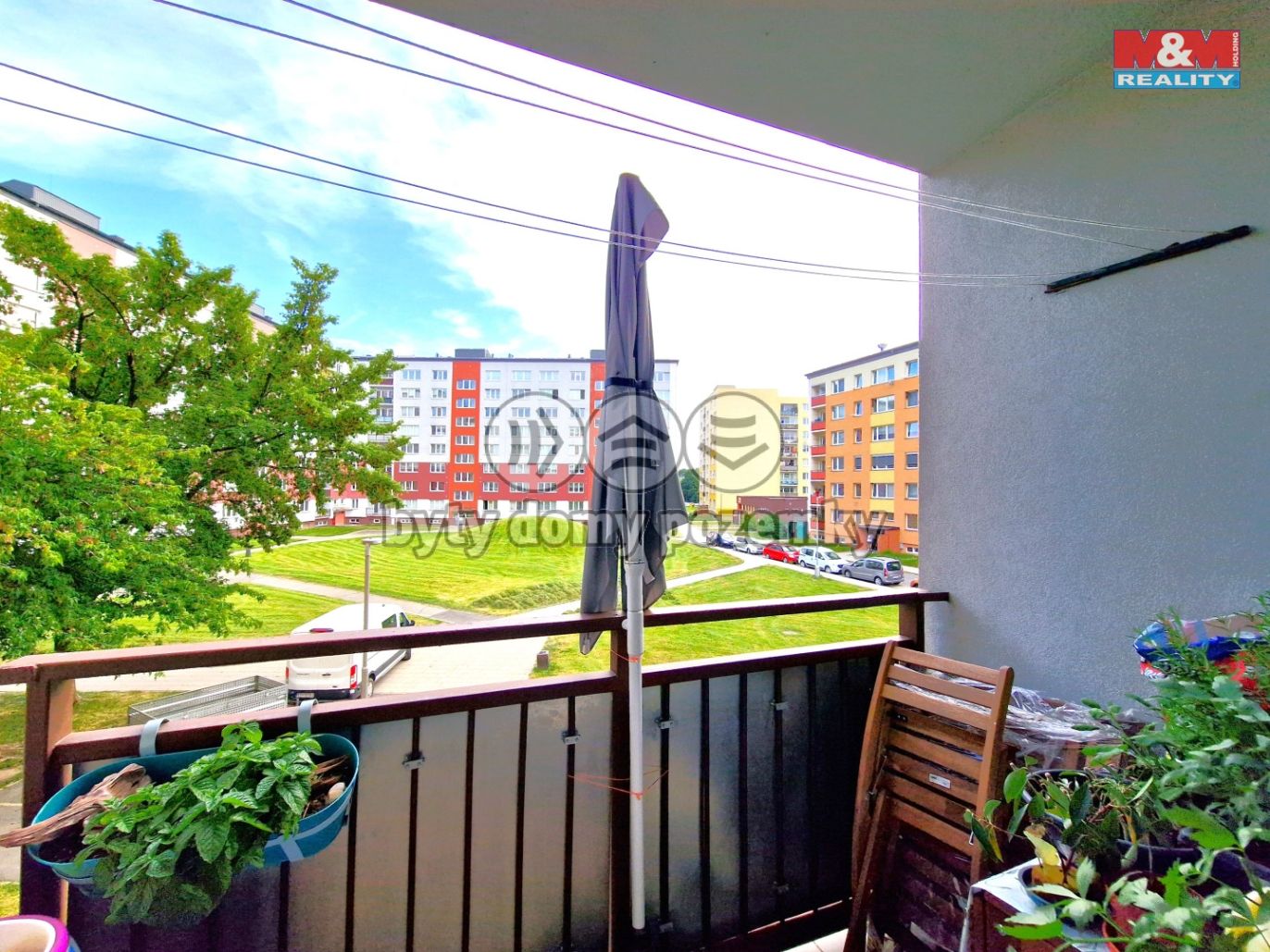 20250623_174342.jpg