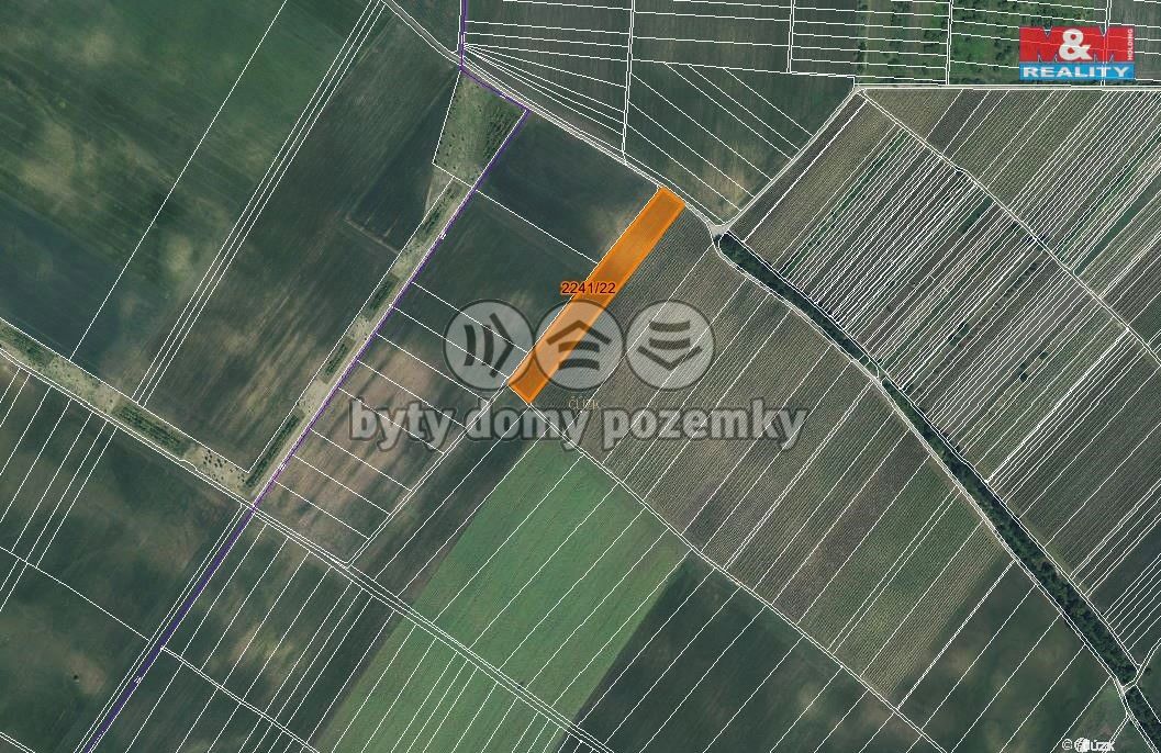 mapka