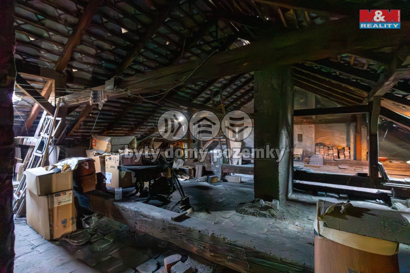 DSC00255-Enhanced-NR[1].jpg