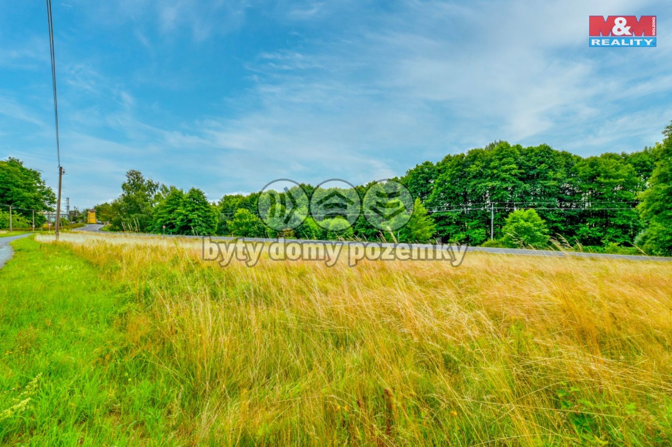 DSC_5613_2.jpg