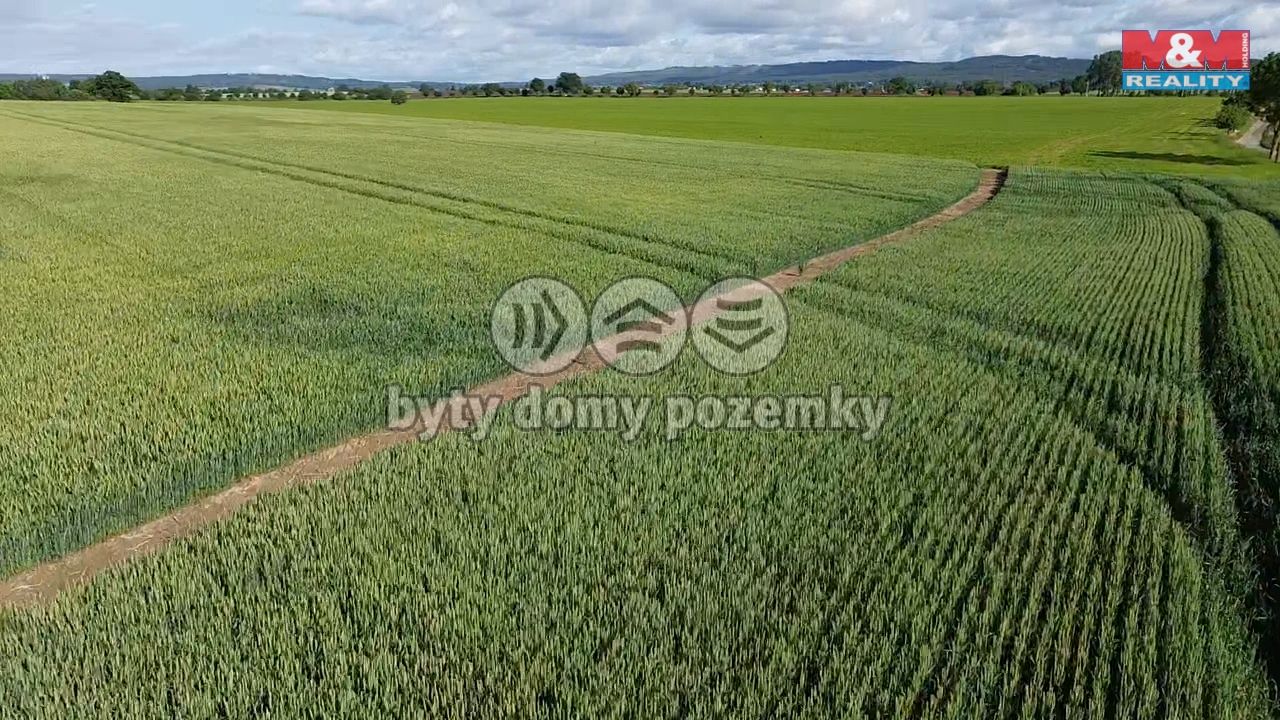 2025-06-11-08-33-59-721.png