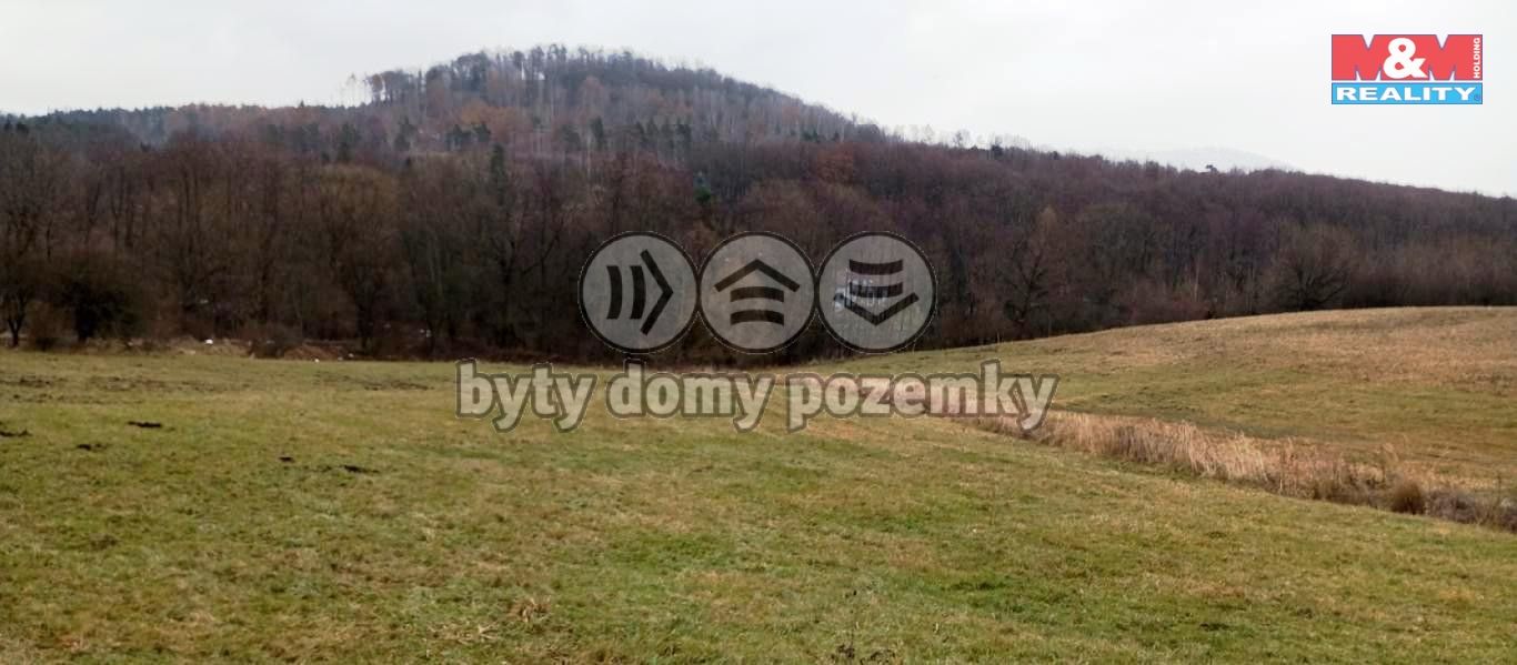 tře1.jpg