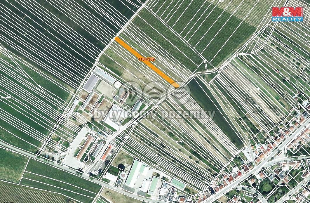 mapka