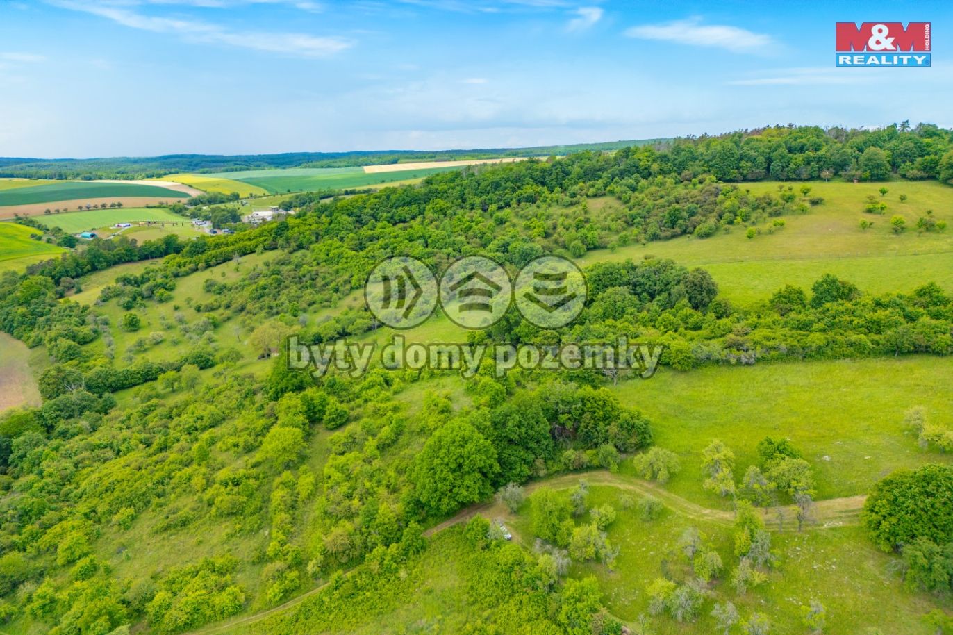 DJI_0607.jpg