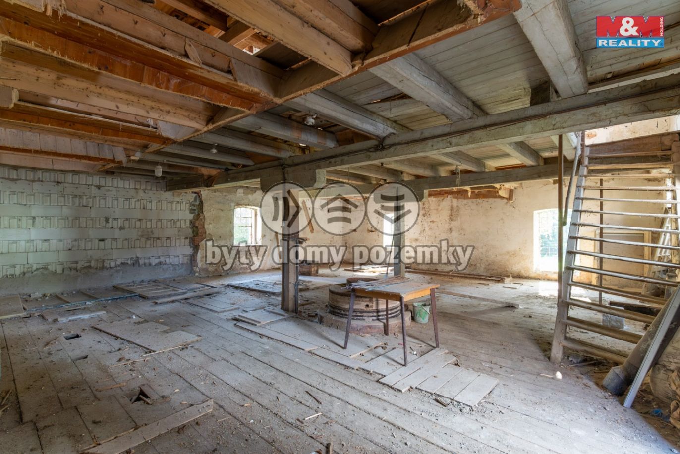 DSC06769-Enhanced-NR[1].jpg