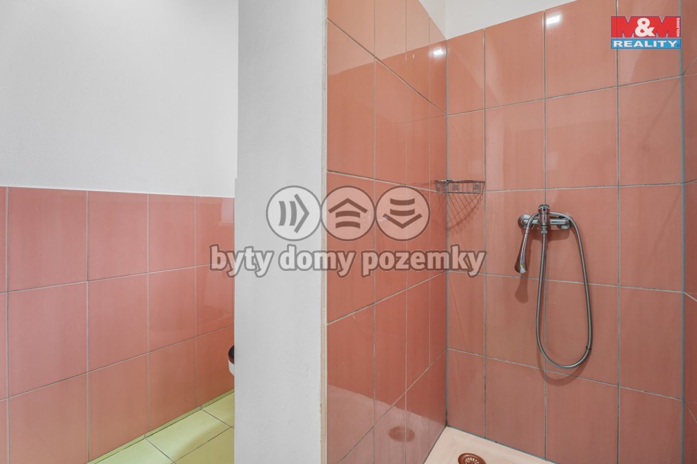 Byt v I.NP (vlevo), 3+kk 55  m²