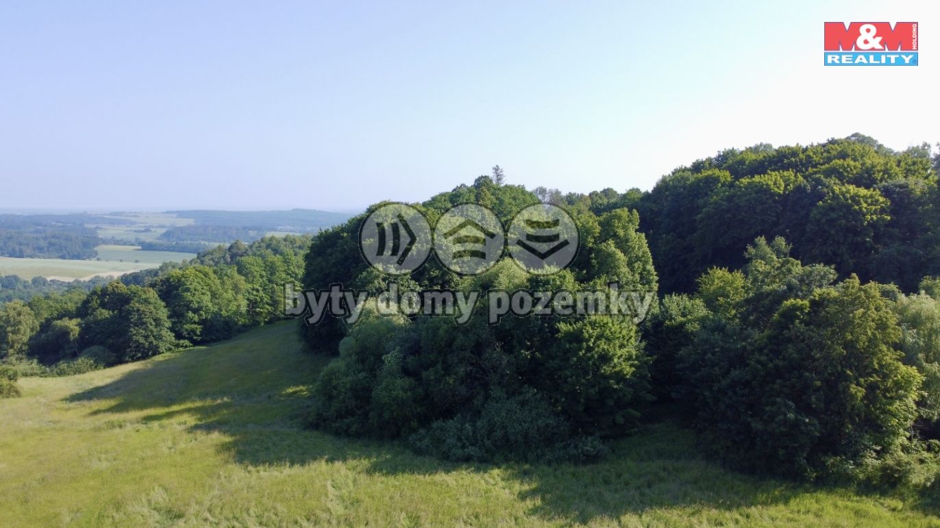 DJI_0455.jpeg