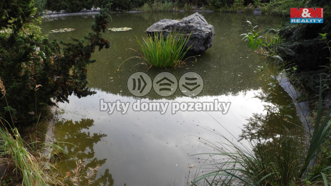 DSCN3564.jpg