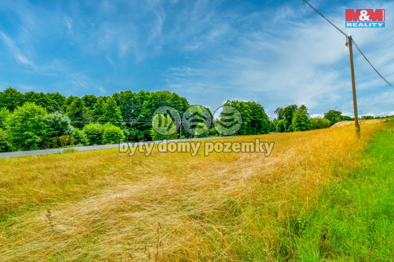 DSC_5625_5.jpg