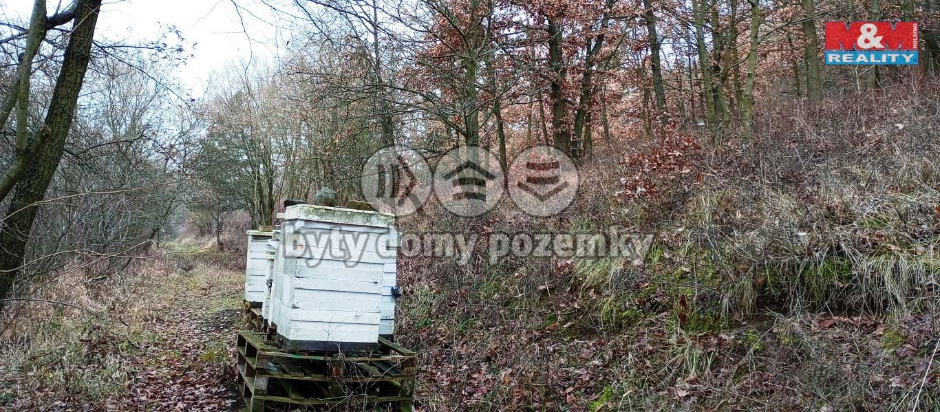 lovo77.jpg