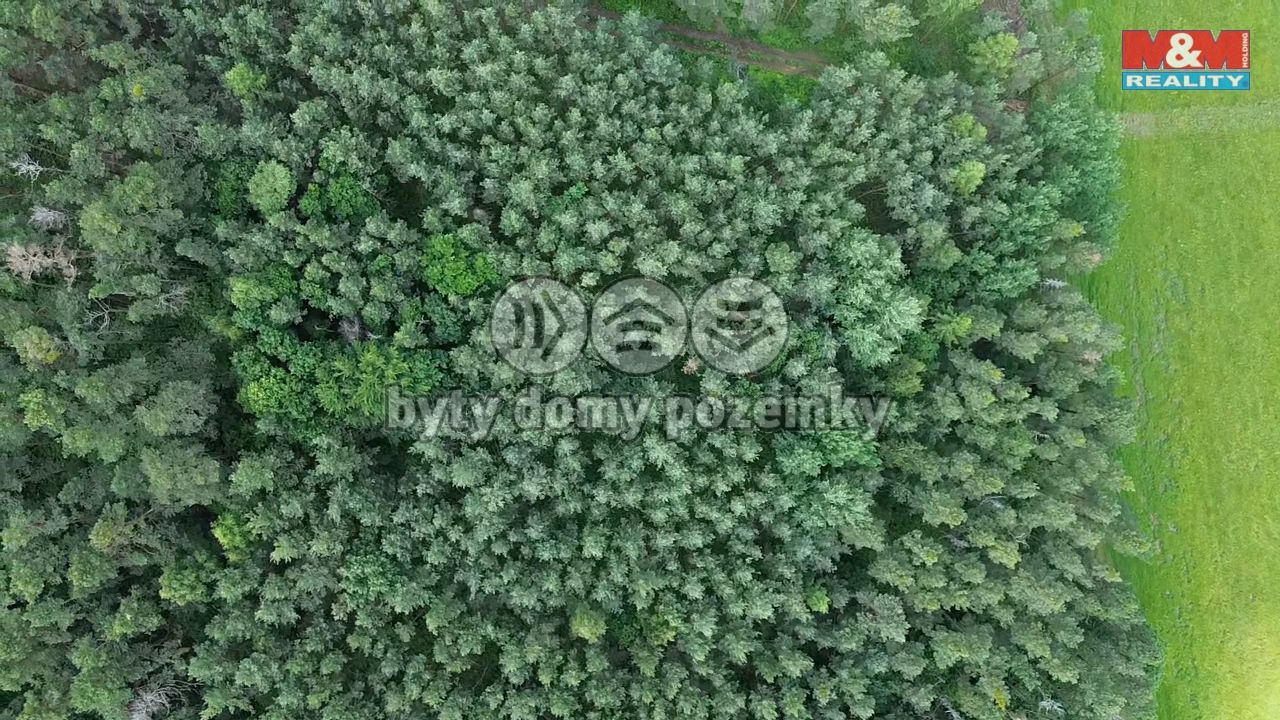 2025-06-06-11-03-18-437.png