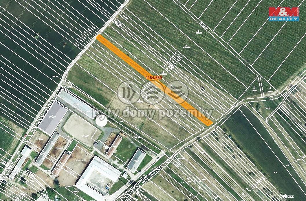 mapka