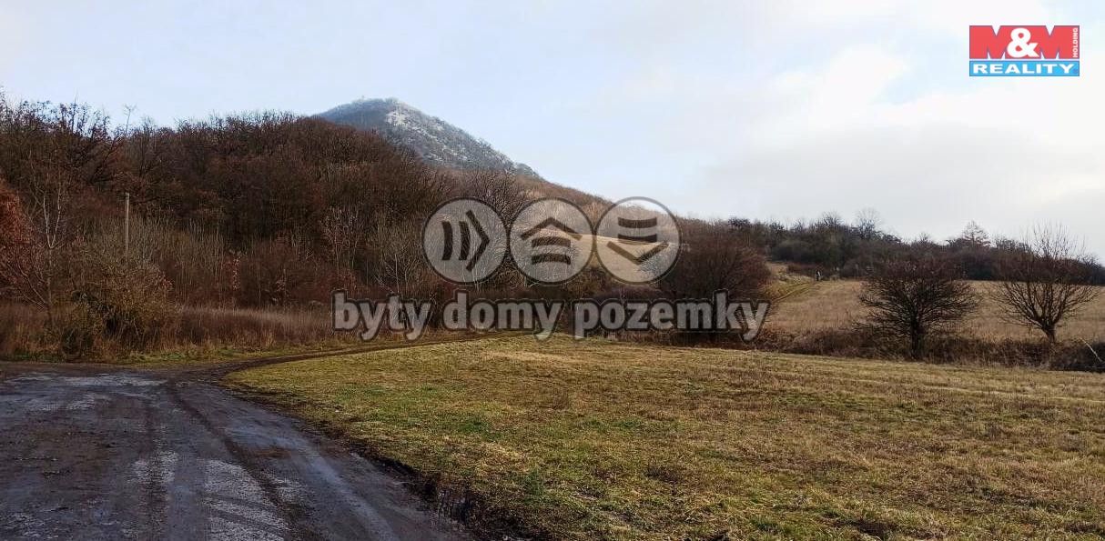 lovo3.jpg