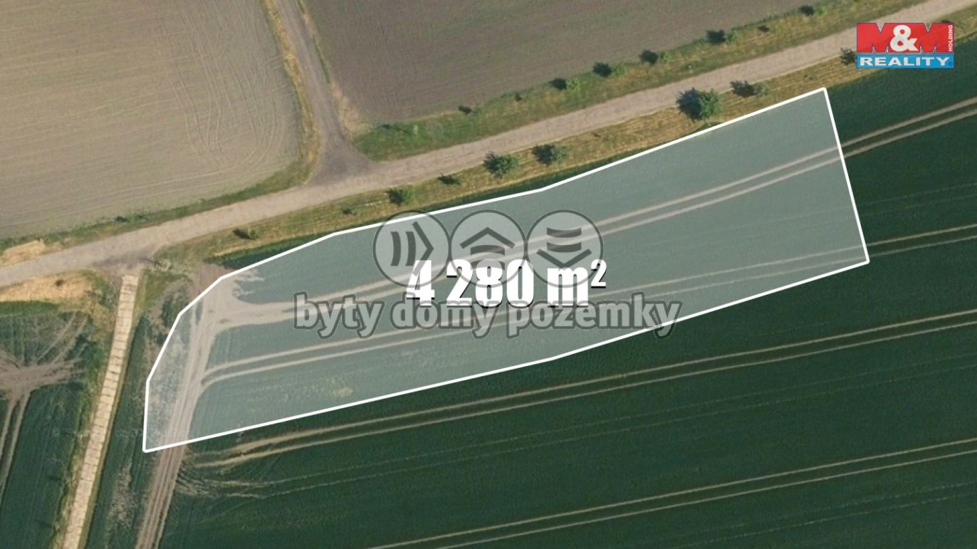 000c.jpg