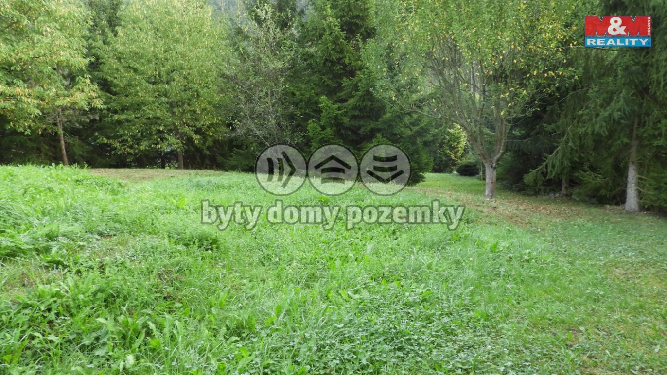 DSCN3569.jpg