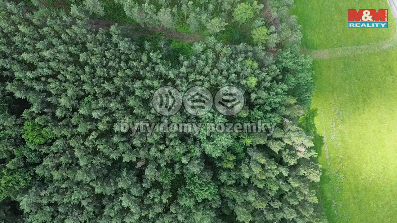 2025-06-06-11-02-27-005.png