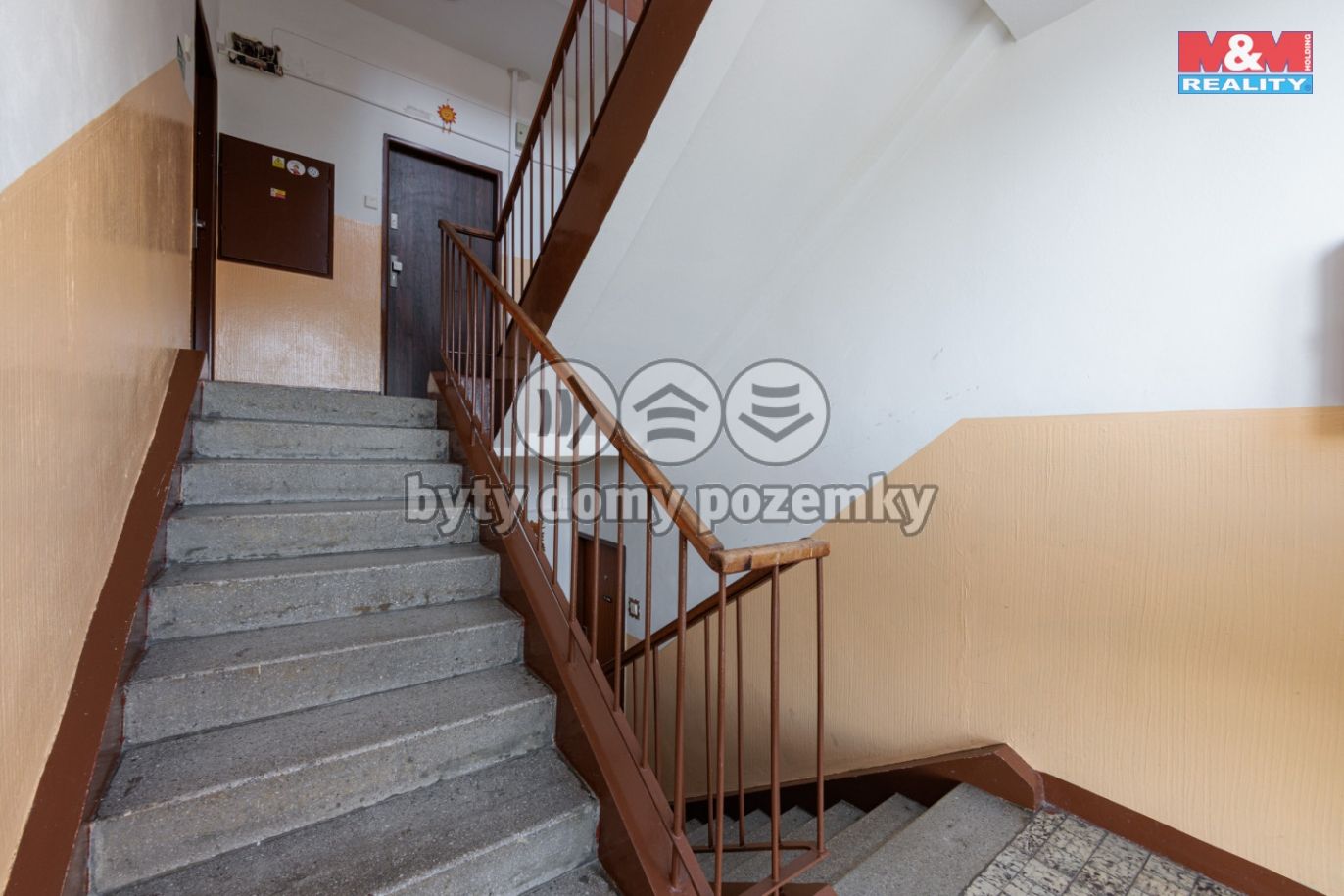 6U1A2516.jpg