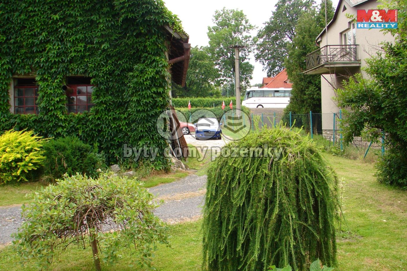 foto006.jpg